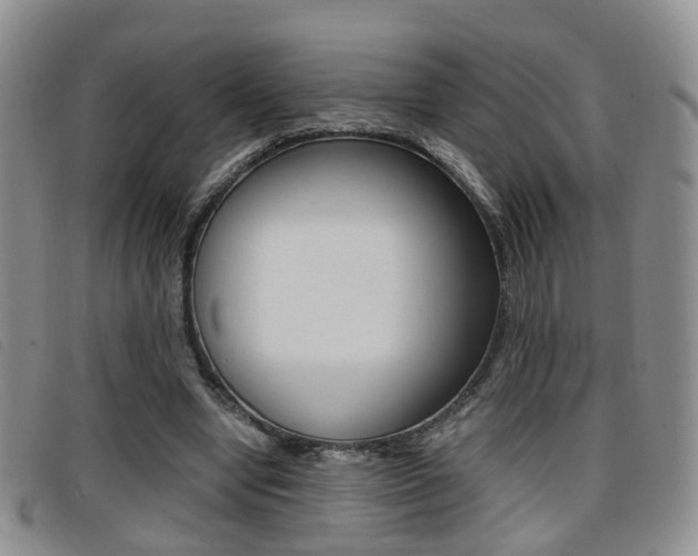 X0000096730442200802051133