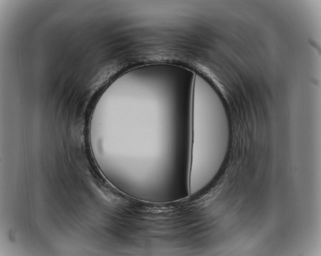 X0000096730443200802051133