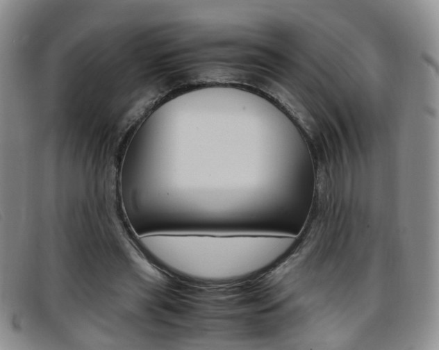 X0000096730445200802051133