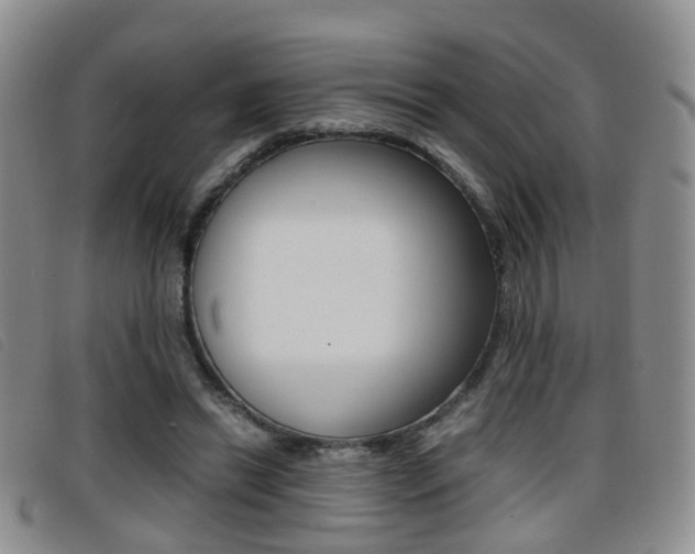 X0000096730446200802051133