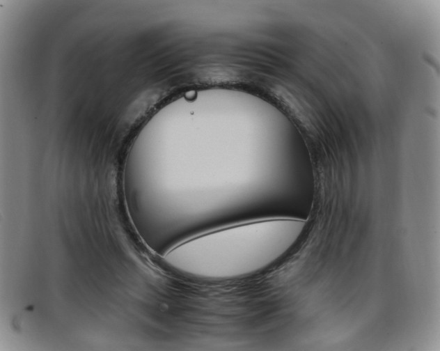X0000096730447200802051133