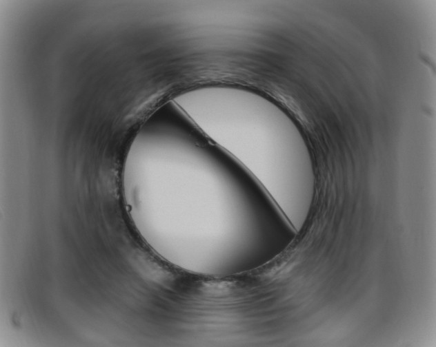 X0000096730450200802051133