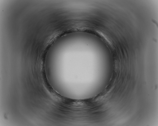 X0000096730451200802051133