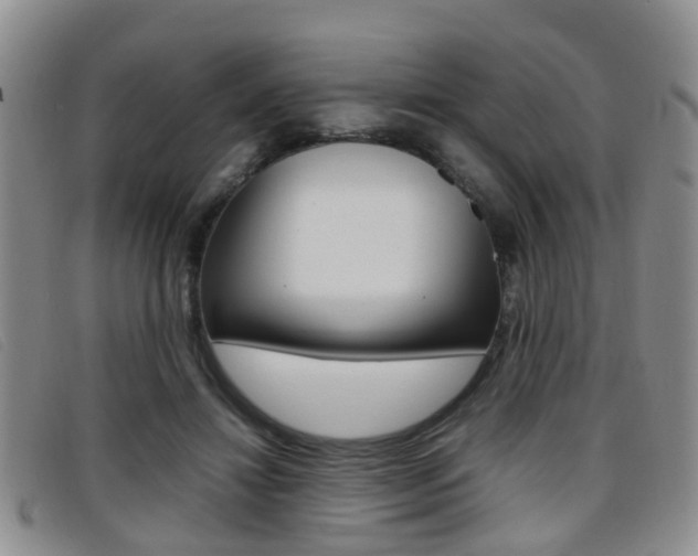 X0000096730452200802051133