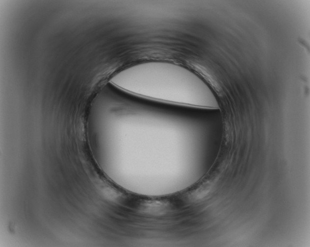 X0000096730453200802051133