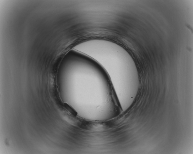 X0000096730456200802051133