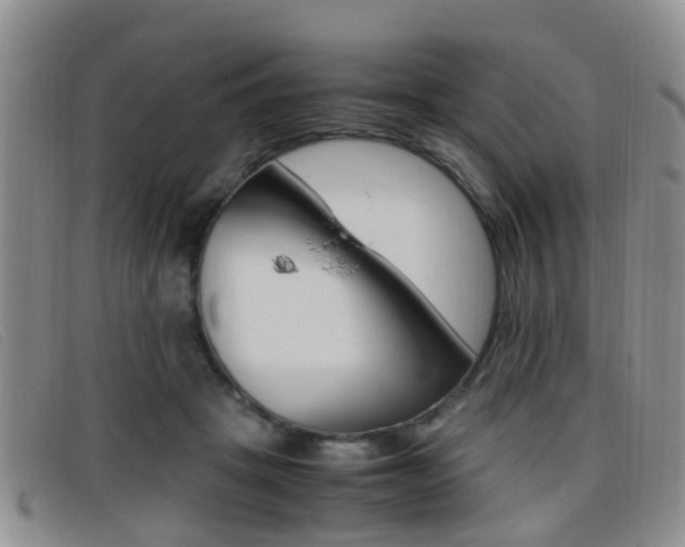 X0000096730457200802051133
