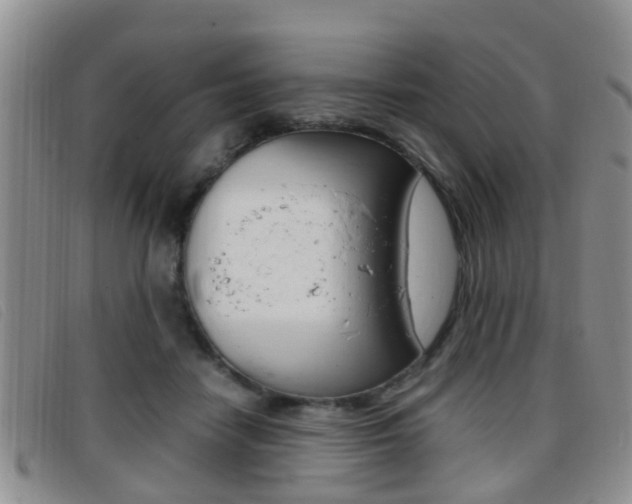 X0000096730458200802051133