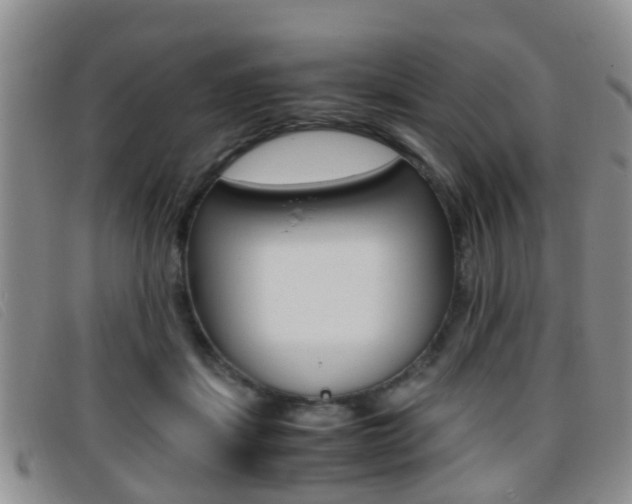 X0000096730459200802051133