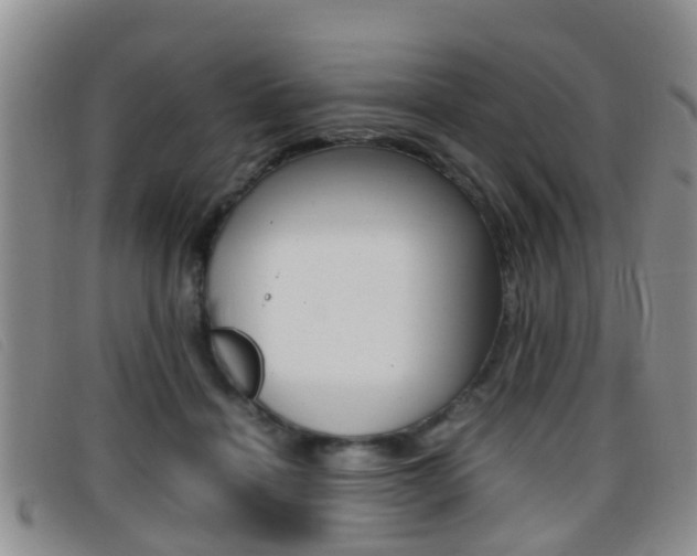 X0000096730460200802051133