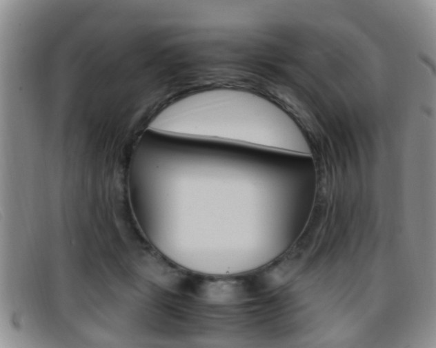 X0000096730461200802051133