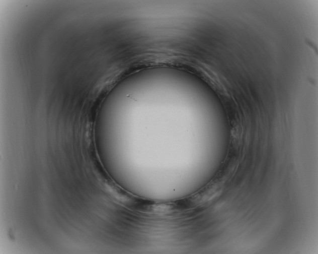 X0000096730462200802051133