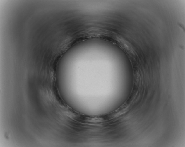 X0000096730463200802051133
