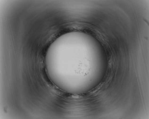 X0000096730464200802051133