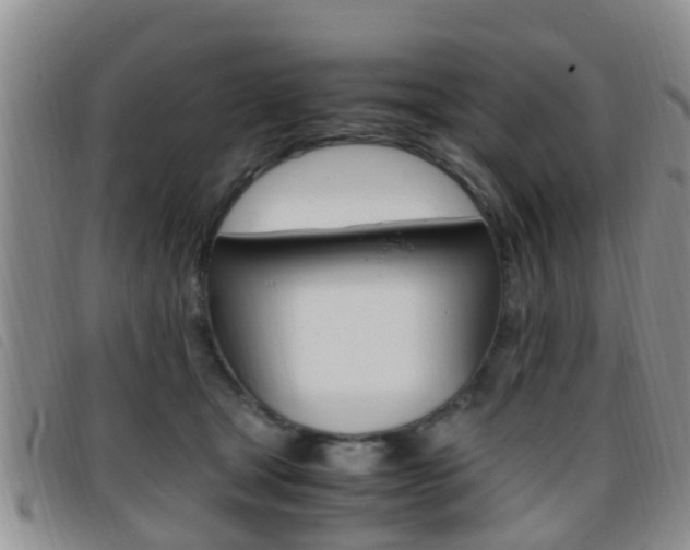 X0000096730465200802051133
