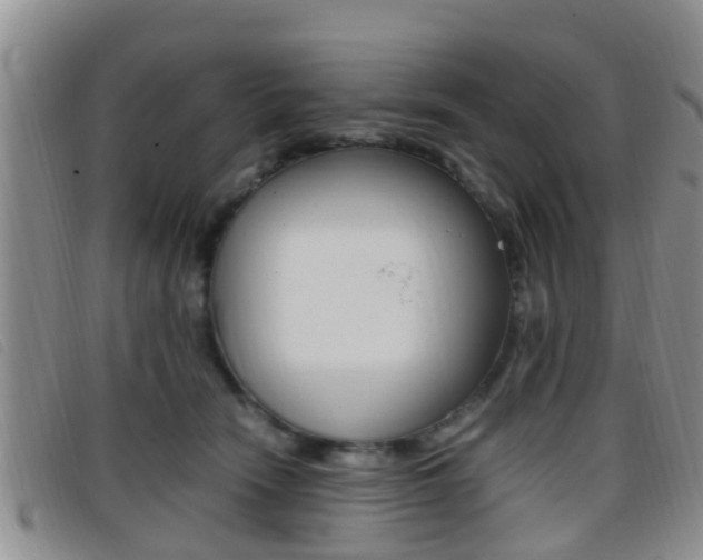 X0000096730466200802051133