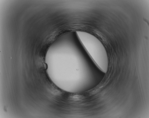X0000096730467200802051133
