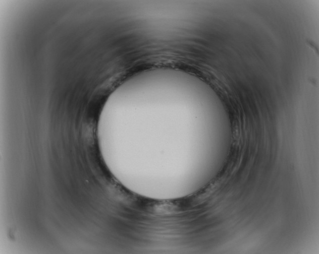 X0000096730468200802051133