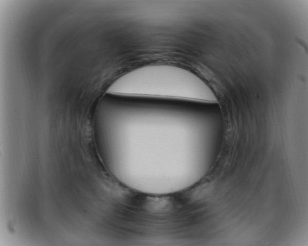 X0000096730469200802051133
