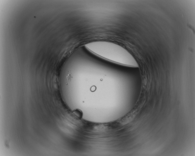 X0000096730470200802051133