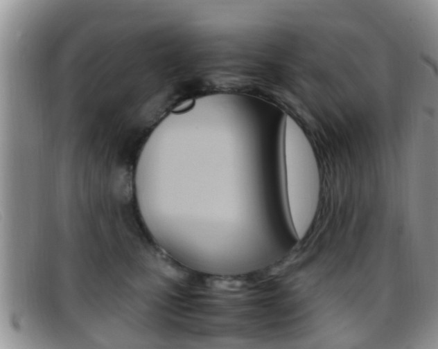 X0000096730471200802051133