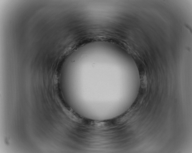 X0000096730472200802051133