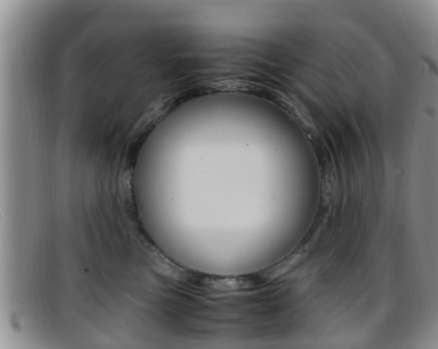 X0000096730473200802051133