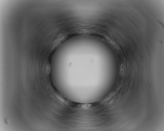 X0000096730474200802051133