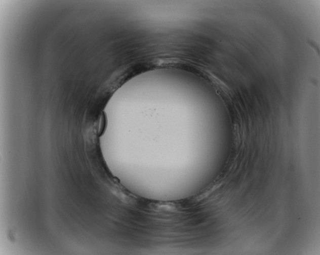 X0000096730475200802051133