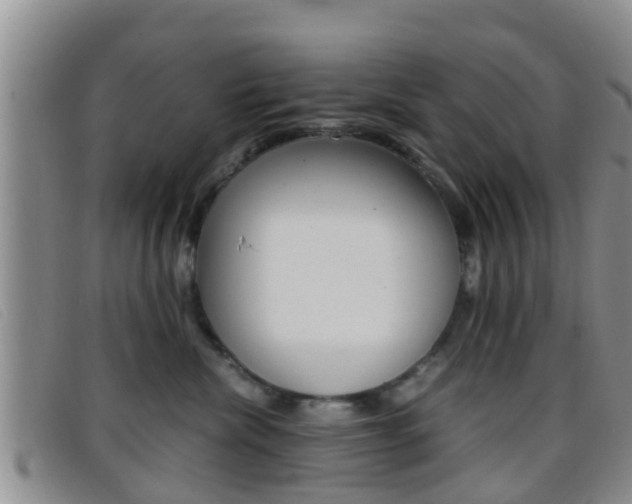 X0000096730476200802051133