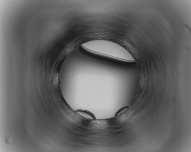X0000096730477200802051133