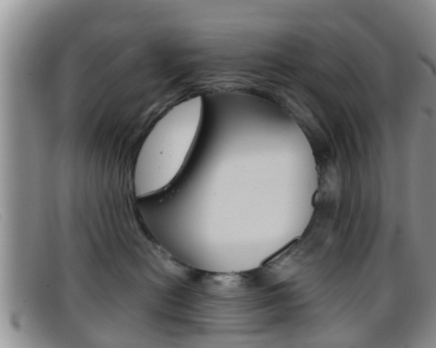 X0000096730478200802051133
