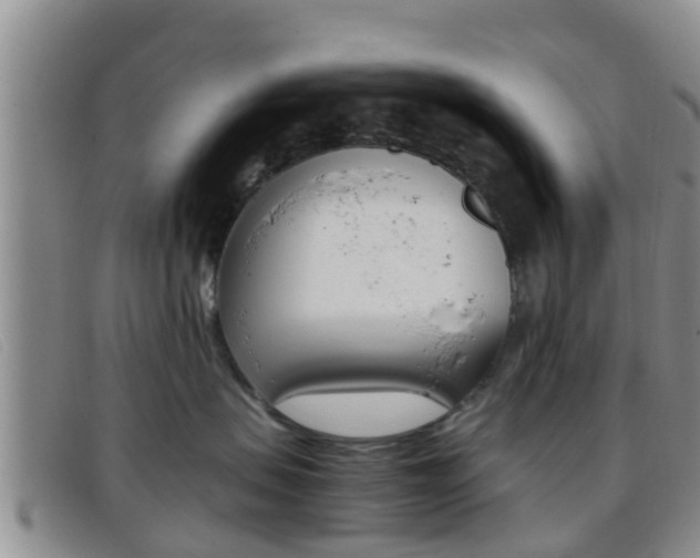 X0000096730479200802051133