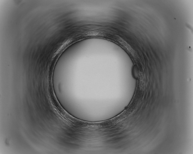X0000096730482200802051133