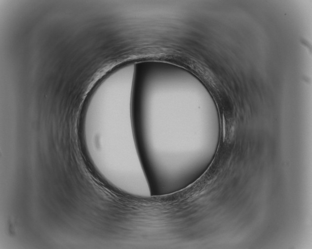 X0000096730483200802051132