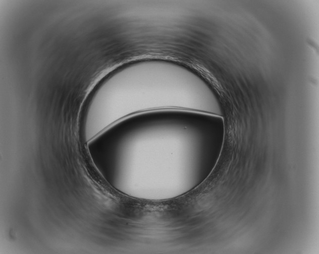 X0000096730484200802051132