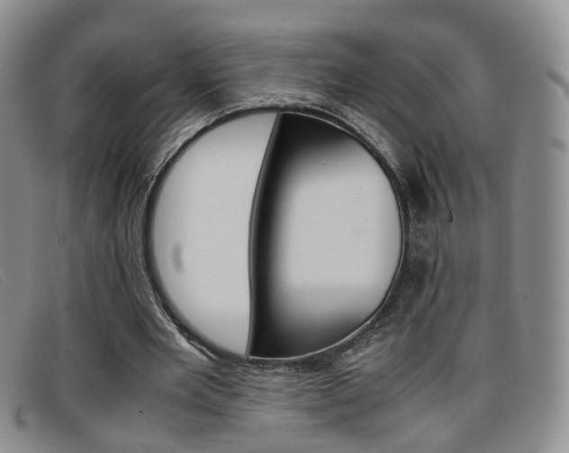 X0000096730485200802051132