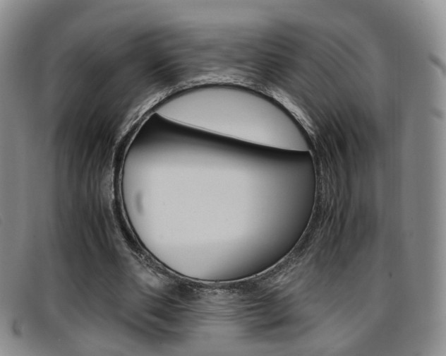 X0000096730486200802051132