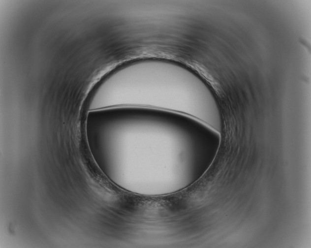 X0000096730488200802051132