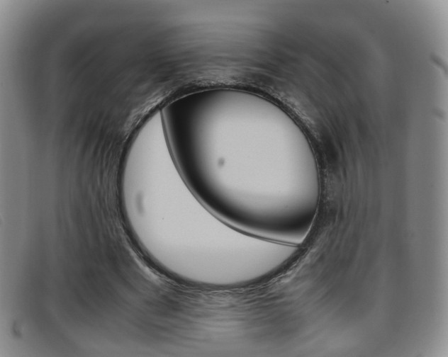 X0000096730489200802051132