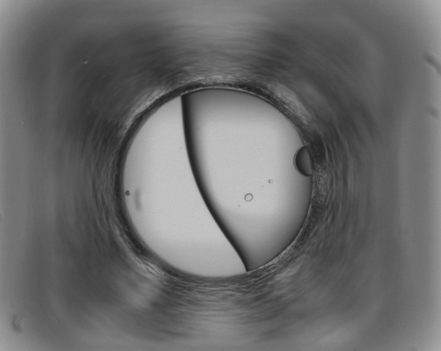 X0000096730491200802051132