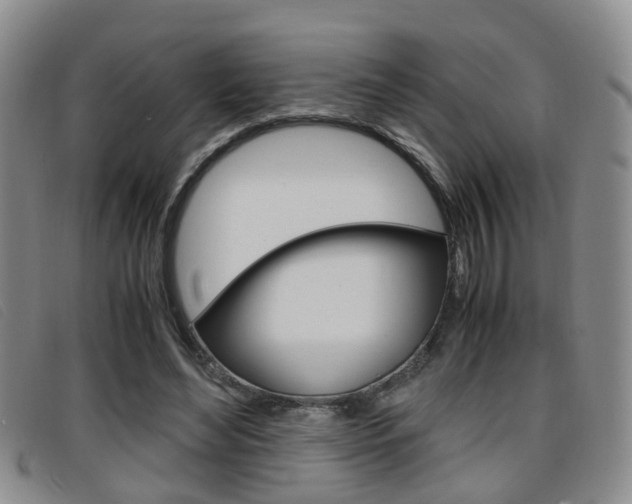 X0000096730492200802051132