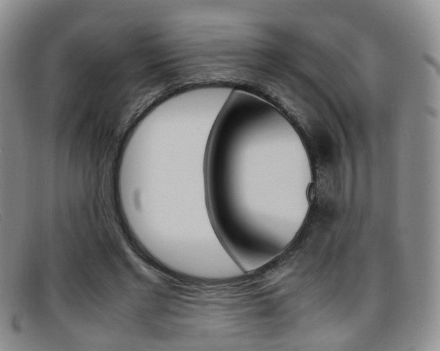 X0000096730493200802051132