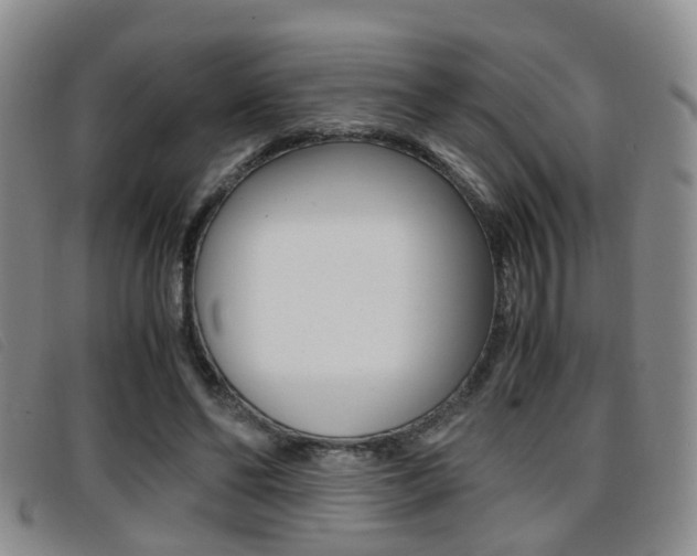 X0000096730494200802051132