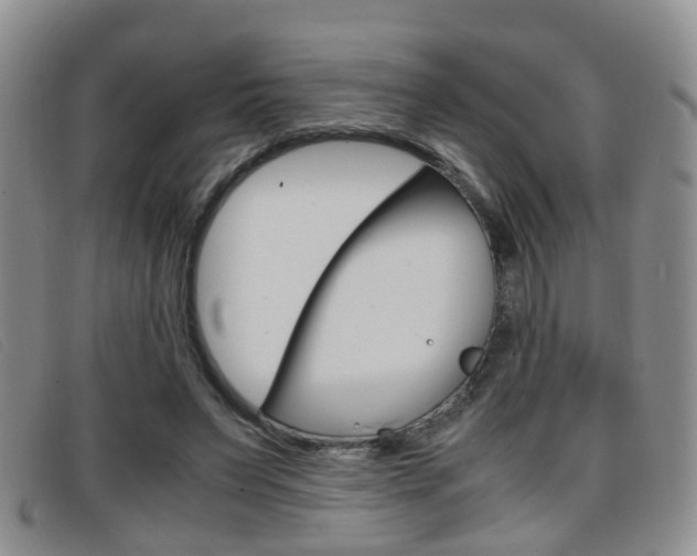 X0000096730495200802051132