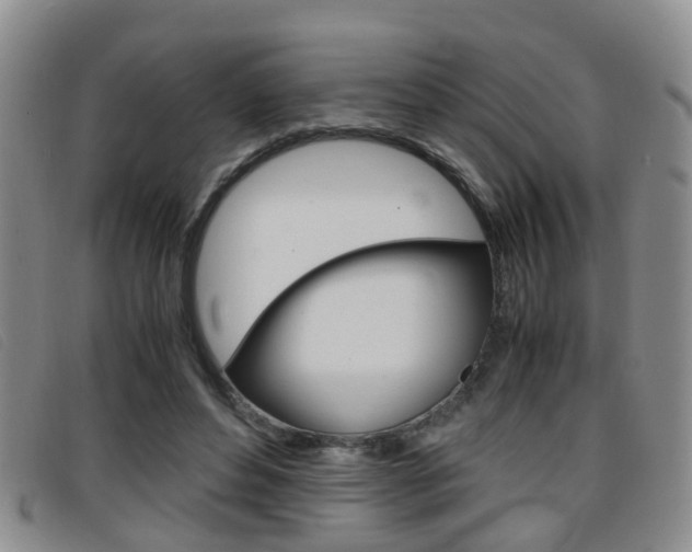 X0000096730496200802051132