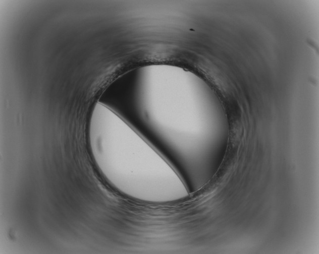 X0000096730497200802051132