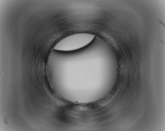 X0000096730498200802051132