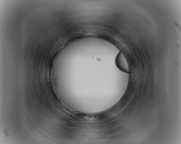 X0000096730502200802051132
