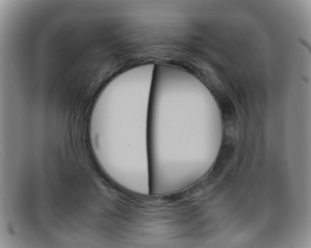 X0000096730503200802051132